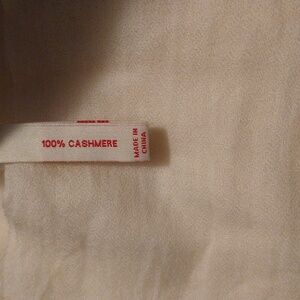 Red Envelope brand cashmere scarf